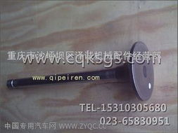 康明斯Cummins 3803528排气门 精密部件解析与选购指南